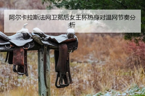 a-er-ka-la-si-fa-wang-wei-mian-hou-nv-wang-bei-re-shen-dui-wen-wang-jie-zou-fen-xi-2-326.jpg